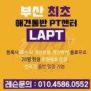 엘에이피티LAPT