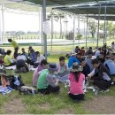 회산백련지 잔디광장 이미지