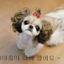 모델독 네이버블로그