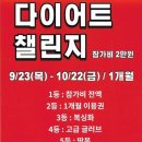 펀치복싱GYM 이미지