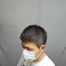 일러스라인 이미지