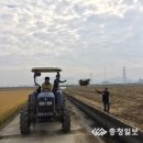 화양면사무소 이미지