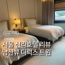 남산마이 | 서울 호캉스 호텔 추천 신라호텔 디럭스 트윈 남산뷰 투숙후기 (수영장, 조식, 가격)