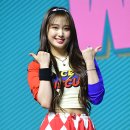 포토조아 이미지