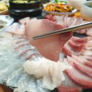 엉터리막썰이 | [옥포횟집]엉터리막썰이에서 회 한그릇 먹고 왔어요~