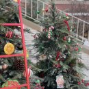 UR(파주시)-[와석순환로]-상-11 | 운정 스타필드 빌리지 가오픈 스타벅스, cgv 영화 무료상영 이벤트