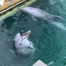 (주)마린파크 이미지