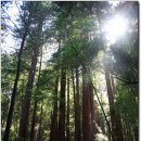 하늘이 준 선물 이미지