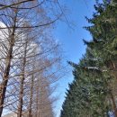 곰티(익산) 이미지