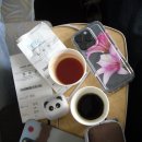 펫제제(PET JEJE) | [제주 day1-1] 아시아나 비즈니스 강아지 동반 후기 | 김포공항 펫파크