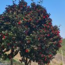 성왕산등산로 이미지