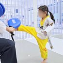 기합소리 태권도장 이미지