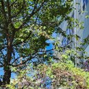 동국세탁소 이미지