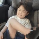 퍼피포피 | 여름 등원룩 알파베베 캐릭터티셔츠