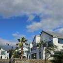 오페라의뜰 이미지