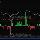 비트코인 현물 ETF, 5400만달러 빠져나가…3일 연속 순유출 이미지