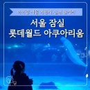 월드차유리 - 계양구 계산로 27 | 울산출발 서울여행 1일차, 아이랑 롯데월드 아쿠아리움 후기