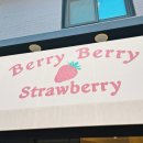 대우농장 | 강릉 카페 비주얼 미쳤다 🍓 농장 직영 딸기카페 [베리베리딸기] 다녀옴