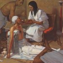 부목농장 이미지