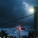 매그네이트 이미지