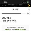 보띠에 이미지
