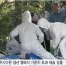 ＜단독＞일본산 사케 안심해도 될까?...세부 원산지 의무화 필요 이미지