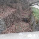 산디천 충청일보