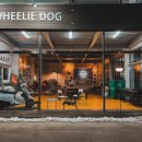 윌리독(wheeliedog) 네이버블로그