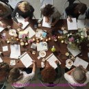 코지시엘 이미지