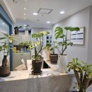 느낌안마시술소 이미지