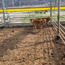 여물소농장 이미지