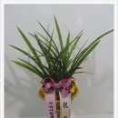 (주)바이온 이미지