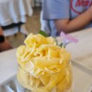 제주를 담다 이미지