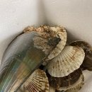 원빈수산 이미지