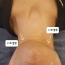 (주)디피엘 - 1345 | (주)디피엘
