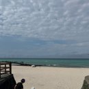 맘마목장 이미지