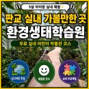 판교테크노어린이집 | 판교환경생태학습원 아이랑 주말 실내 가볼만한곳 주차 체험 코스 꿀팁