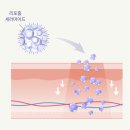 오월의 향수 | 환절기 각질 안녕! 극민감 피부를 위한 '오월의아침' 바디로션 일주일 사용 후기