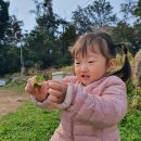 예주농장 이미지