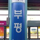 중화면식