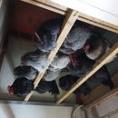 이순이농장 이미지