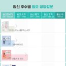 [훈현네 임신준비 1] 임신 3달 전부터 챙겨야할 영양제는 &#39;지엠팜&#39;에서 내돈내산 후기