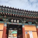 장경사 산신탱화 | 화성 용주사