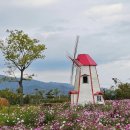 예당습지생태공원 이미지