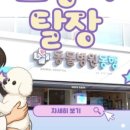 도곡동행동물병원 이미지