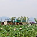 점새늪쉼터 무인카페