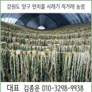 김종운농장 이미지