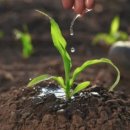 전통햇살협동조합 이미지