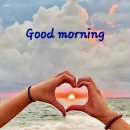 제니아무도장 이미지