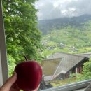 플라워민박 이미지